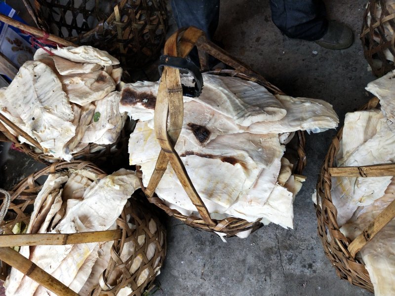 脆嫩金丝笋，笋干，精选压榨鲜笋片切丝晒干，泡发量大，