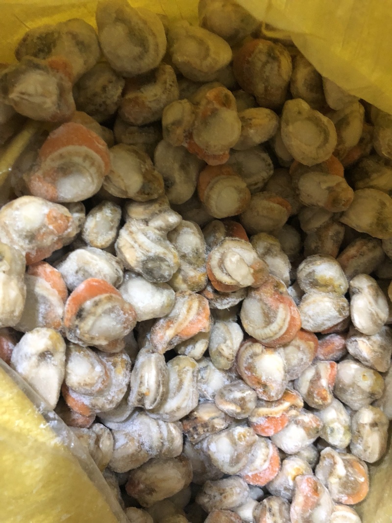 扇贝肉满黄新鲜现扒海鲜大个带膏带黄扇贝肉
