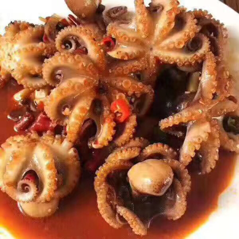 鲜活八爪鱼