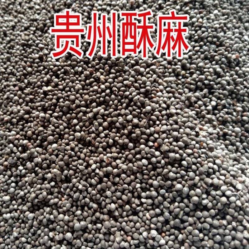 包邮贵州酥麻引子今年新货