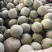 哈密瓜小果次果二级果