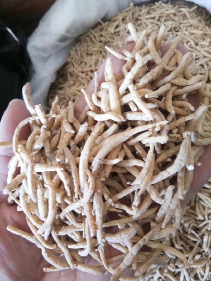 太子参贵州各种规格无硫熏煲汤一公斤起发货