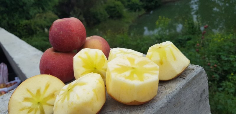 糖心苹果