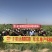 甘肃生葵花籽，大粒品种齐全价格美丽欢迎来电