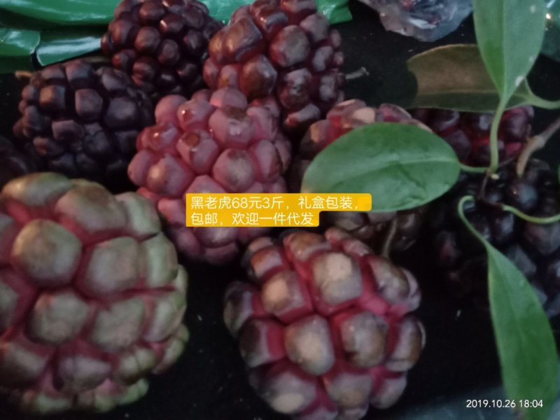 第五代珍奇水果黑老虎