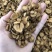 【舜波中药材】炒白芍质量好量大从优