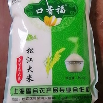 松江大米圆粒珍珠米。双11冲量招代理。量大可谈