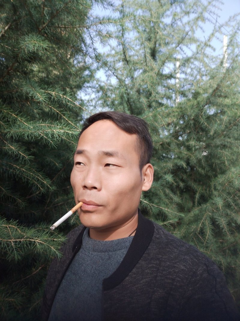 雪松，，，，，，，，，，，，