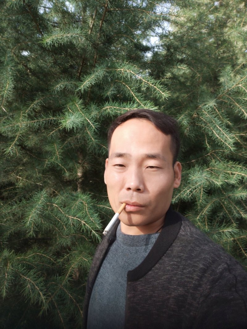 雪松，，，，，，，，，，，，