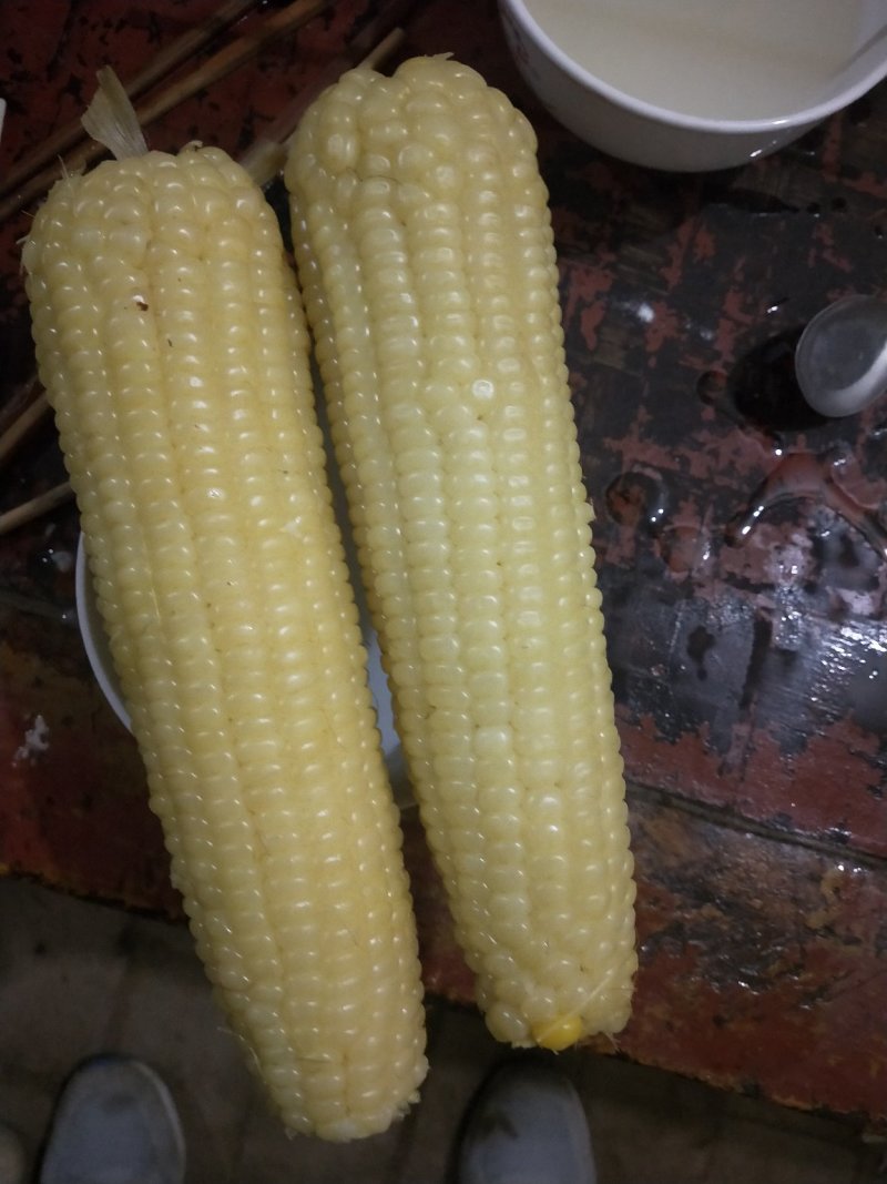 糯玉米