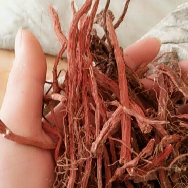 无硫，野生血参，包邮
