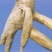 新鲜野生商陆，现买现挖