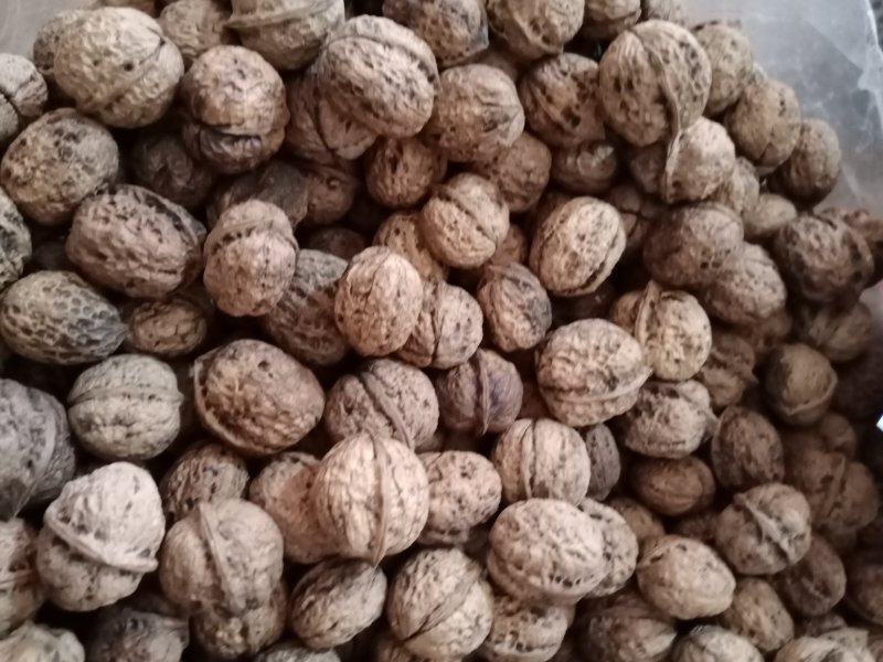 云南核桃黑桃产地直销量大价格可优惠包邮