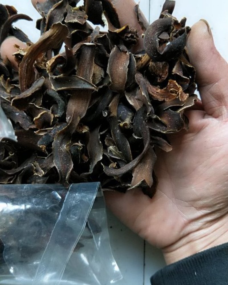 贵州红百