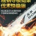 新款五羊本田9980大功率汽油锯链条伐木锯家用小型电锯园