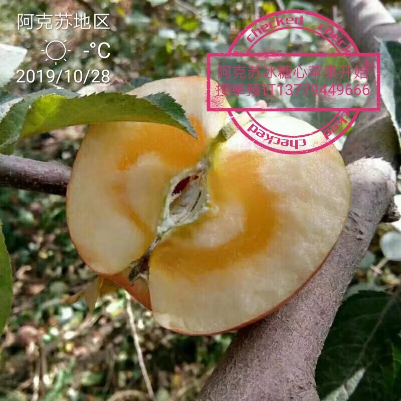 新疆阿克苏冰糖心苹果