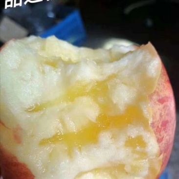 新疆阿克苏冰糖心苹果