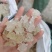 原产地批发雪燕，缅甸拉丝雪燕量大从优