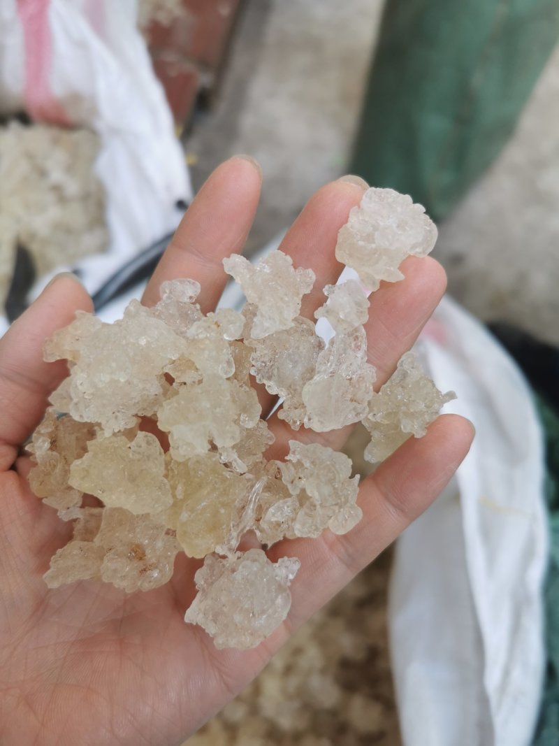 原产地批发雪燕，缅甸拉丝雪燕量大从优