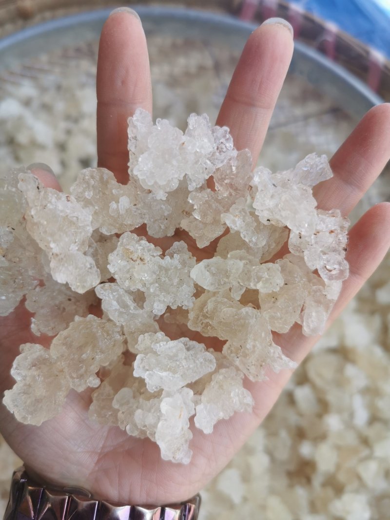 原产地批发雪燕，缅甸拉丝雪燕量大从优