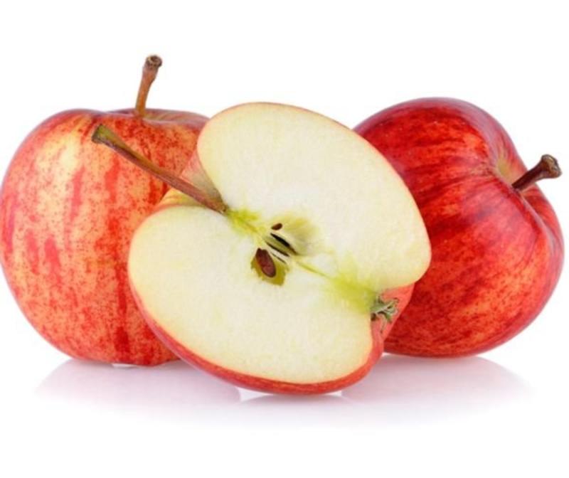 红富士苹果种子嫁接苹果种子苹果种子免费提供播种技术