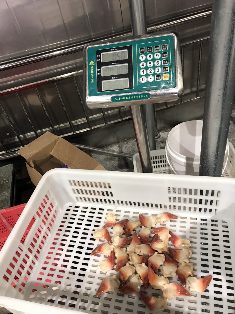 北极贝保护冰衣可以按净重算价格不高