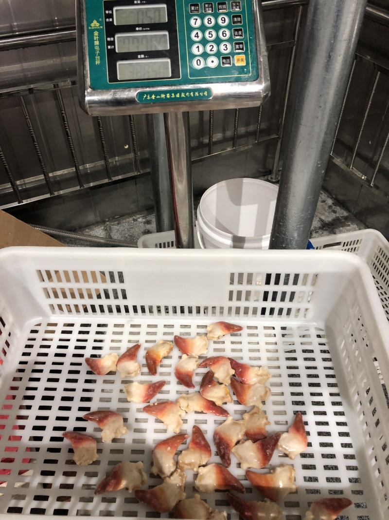 北极贝保护冰衣可以按净重算价格不高