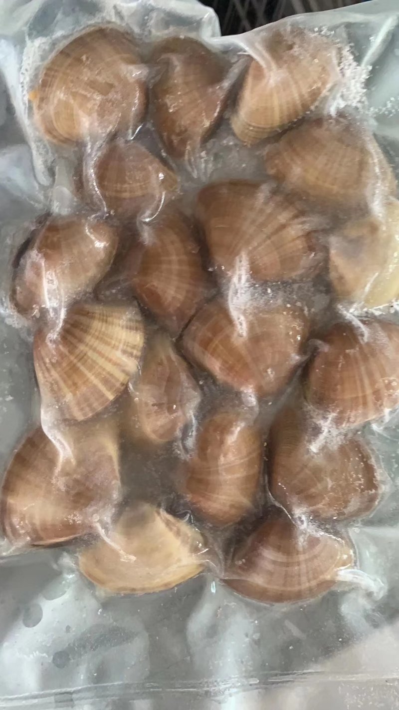 辽宁丹东东港无沙原汁黄蚬子
