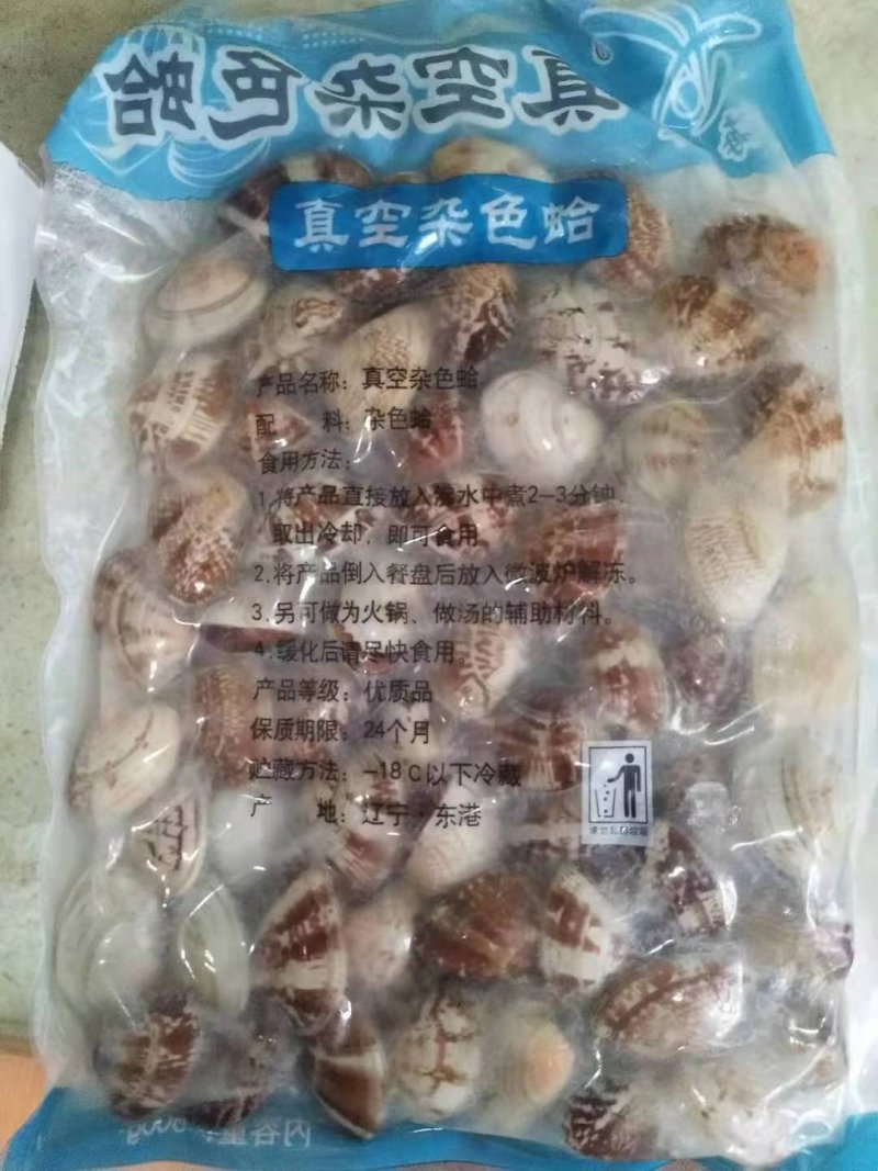 辽宁丹东东港无沙原汁沙蚬子