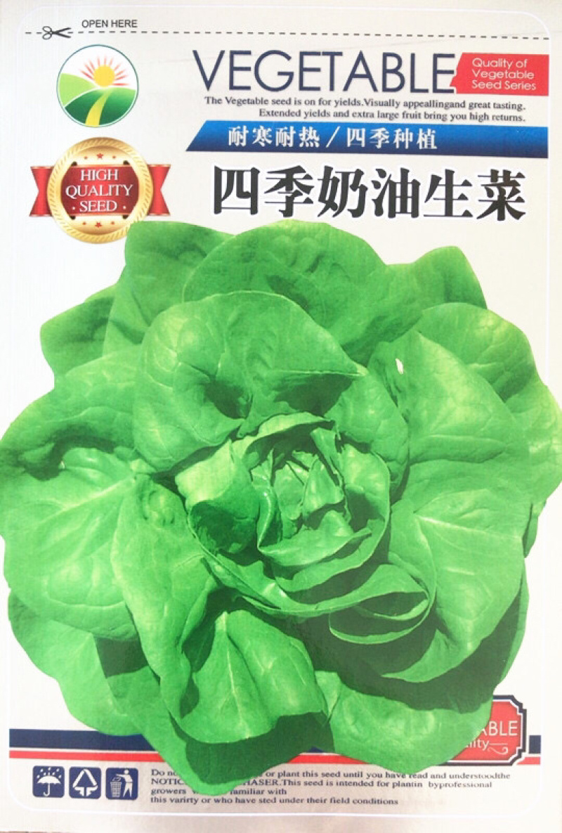 奶油生菜四季奶油生菜种子