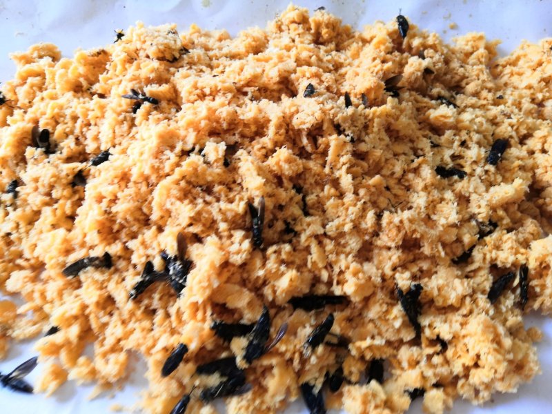 黑水虻优质虫卵，处理餐厨垃圾鸡粪猪粪。可以用来喂鸡鸭鹅龙