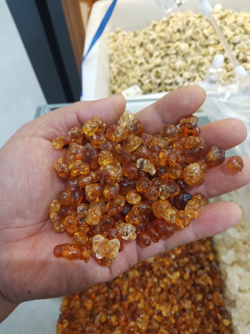 精品雪燕桃胶拉丝雪燕产地直销一手货源