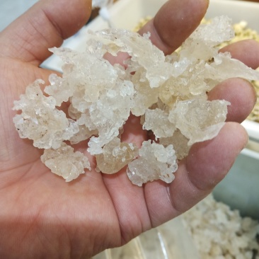 精品雪燕桃胶拉丝雪燕产地直销一手货源