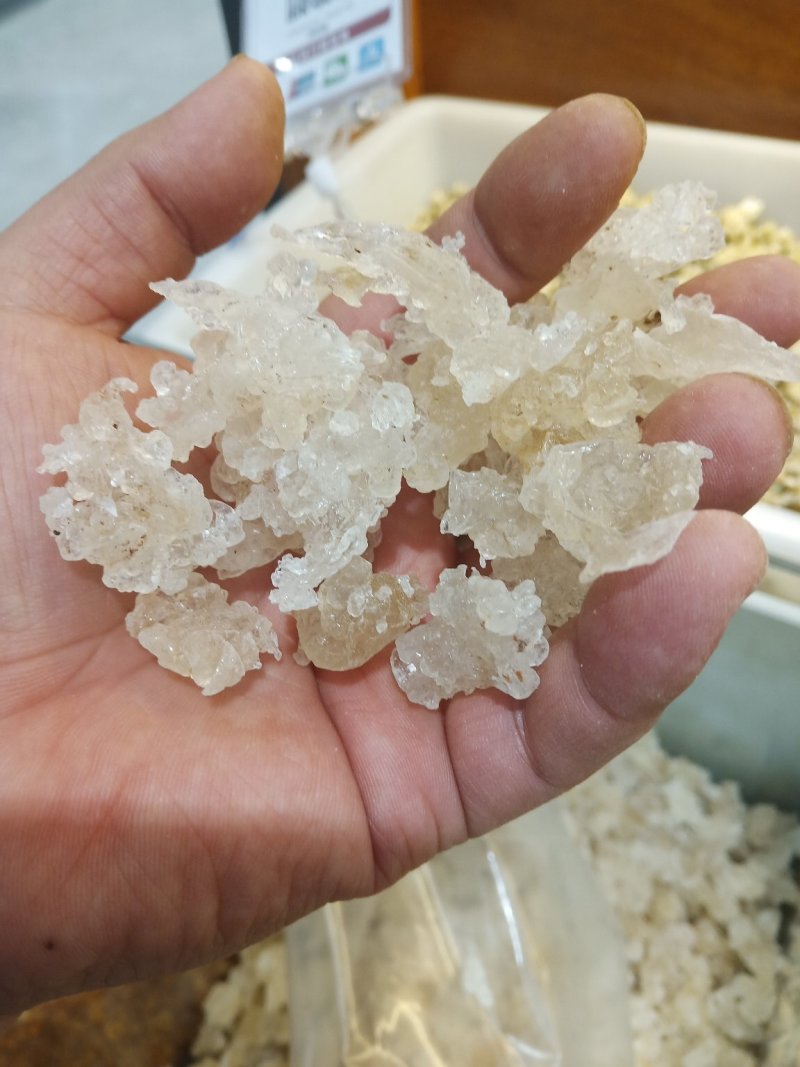精品雪燕桃胶拉丝雪燕产地直销一手货源