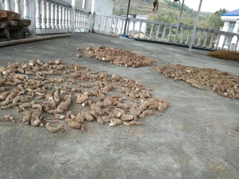 粉防己，正品，纯野生，已清洗。