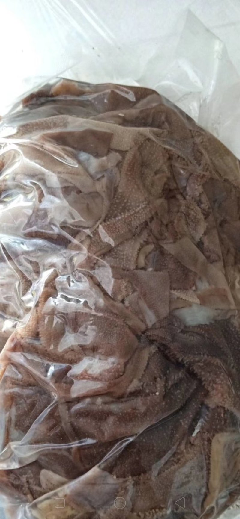 毛肚叶片品质口感好（长期供应）毛肚叶片品质口感好（长期供