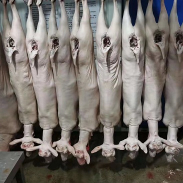 羊肉