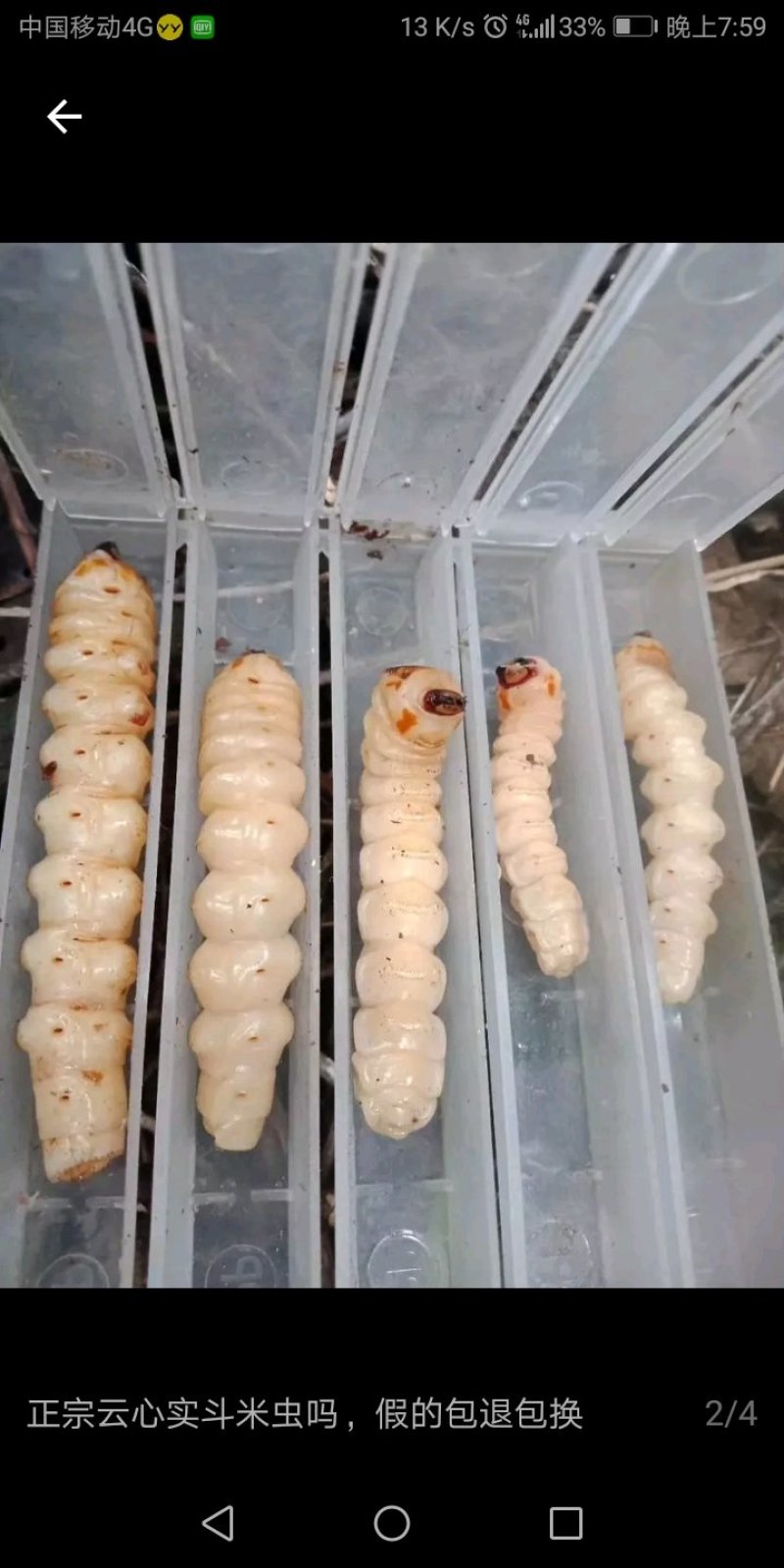 斗米虫啊啊啊啊啊啊啊啊！！！！！！！！！！！！