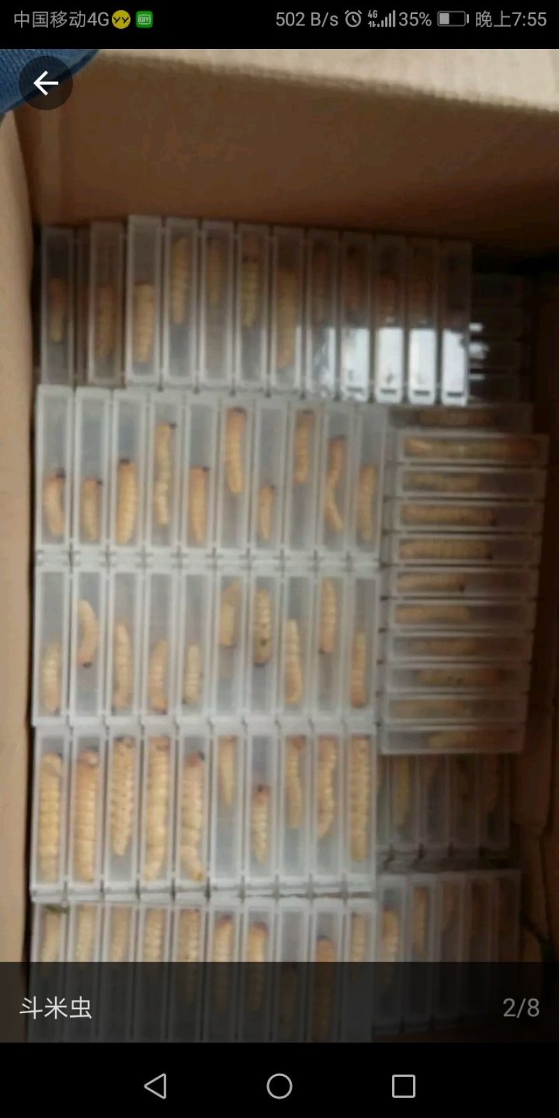 斗米虫啊啊啊啊啊啊啊啊！！！！！！！！！！！！