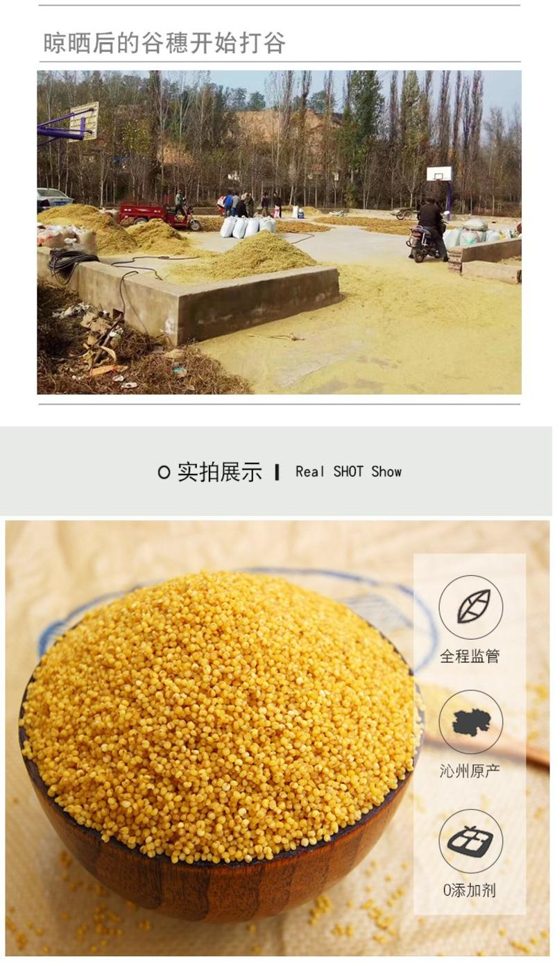 真空包装米砖，2022年正宗沁州黄小米，包邮支持一件代发