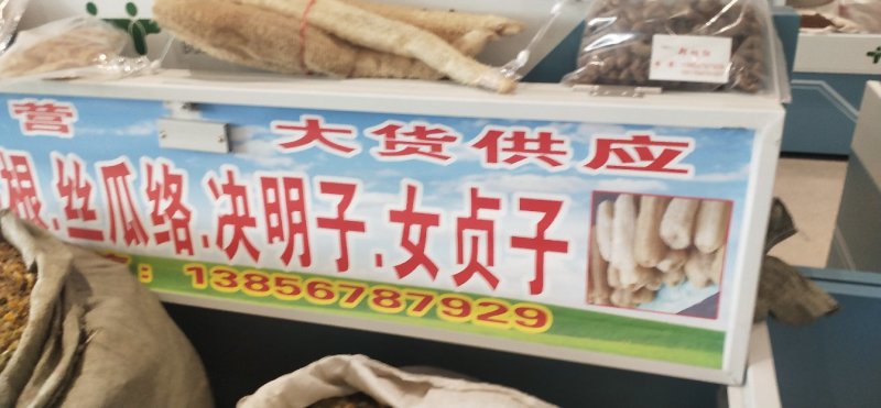 女贞子