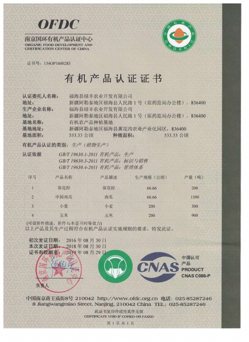 新疆新款板栗南瓜
