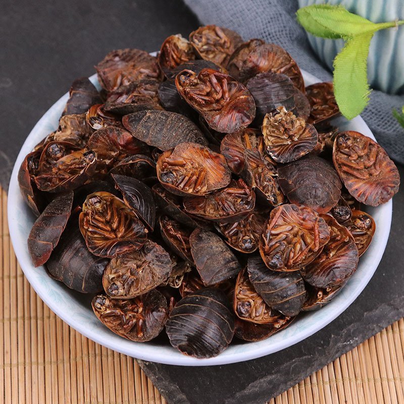 土元产地直销量大从优