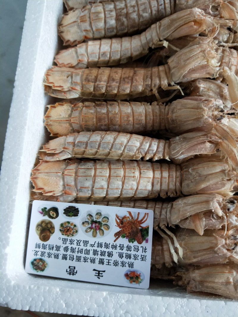 熟冻皮皮虾【肉质饱满】新鲜皮皮虾熟冻整箱全壳虾爬子4斤装