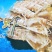 熟冻皮皮虾【肉质饱满】新鲜皮皮虾熟冻整箱全壳虾爬子4斤装