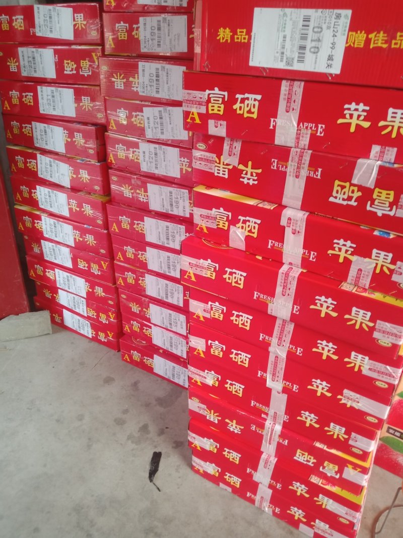 山西临汾红富士苹果