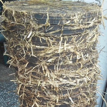 茶枯