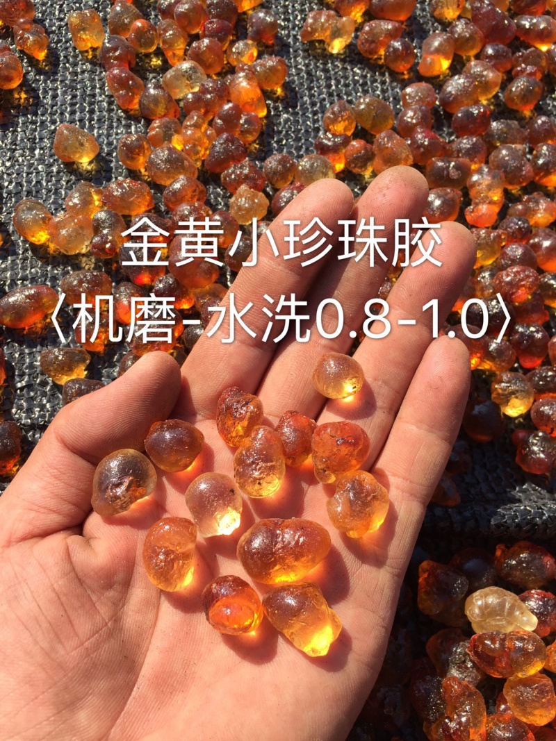 湖北随县桃胶源头基地工厂产地直供机磨水洗金黄圆珠大量批发