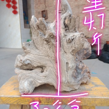 太行崖柏