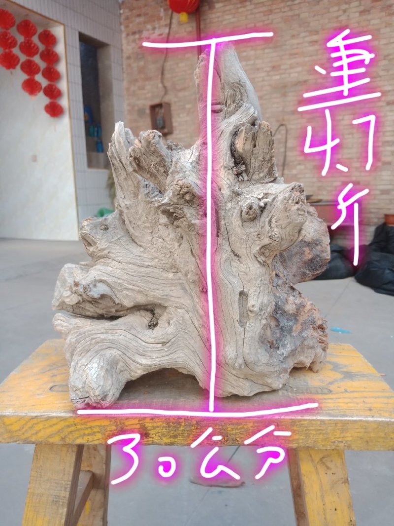 太行崖柏
